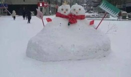 西安爆料大雪视频最新2020,银装素裹，古城焕新颜”